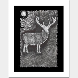Deer at Night Posters and Art